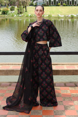 3 PC Embroidered Karandi