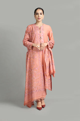 2 PC Embroidered Karandi