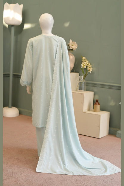 Ice Blue Karandi Shawl Set - back view with shawl