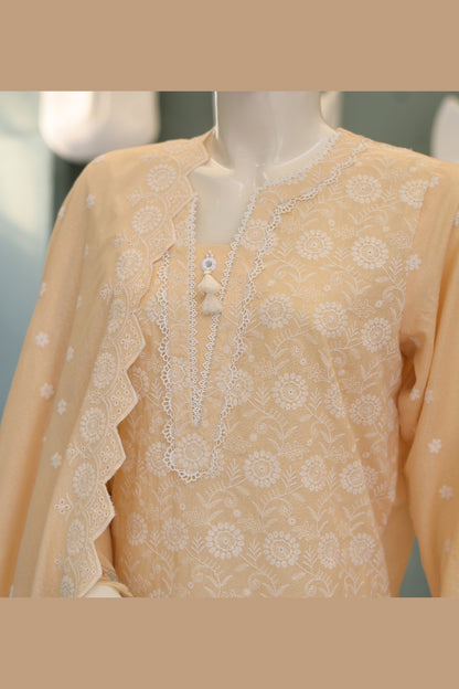Peach Karandi Shawl Set - neckline and placket embroidery