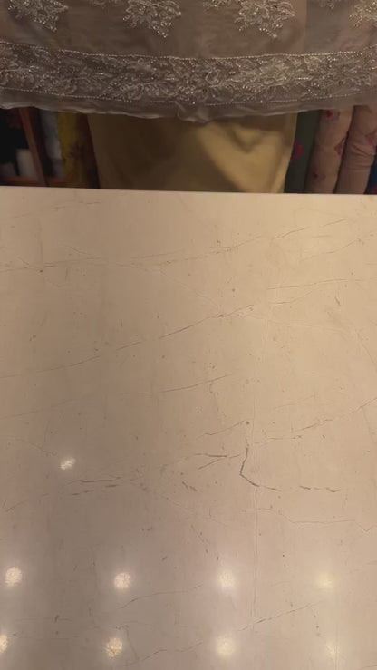 Beige Luxury Formal Chiffon - fabric video