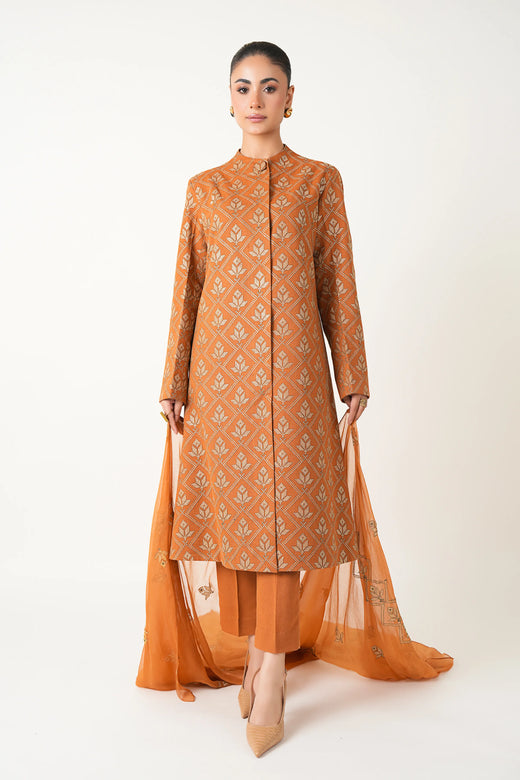 Rust Embroidered Karandi